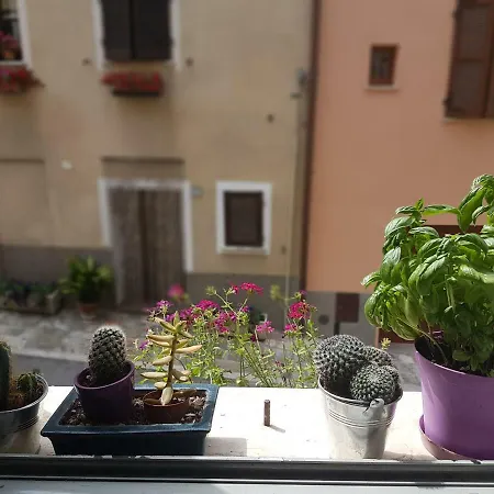 Appartement La Casina *